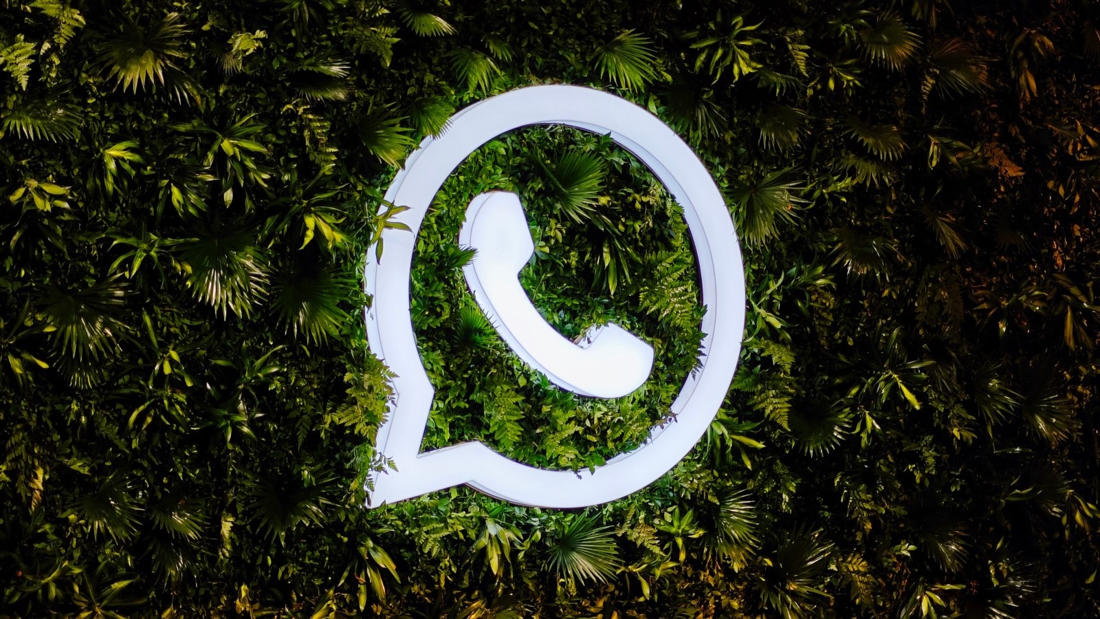 WhatsApp: The instant messaging giant connecting the world